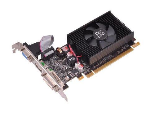 XFX GT-610N-ZNF2 GeForce GT 610 1 GB Graphics Card