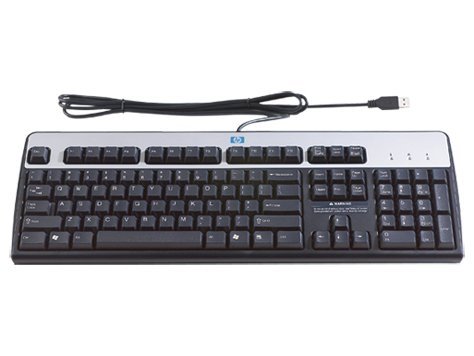 HP DT528A#ABA Wired Standard Keyboard