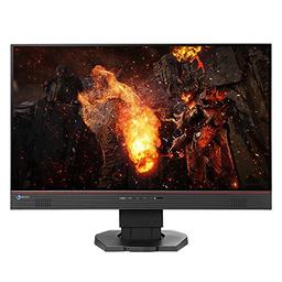 Eizo FS2434-BK 23.8" 1920 x 1080 60 Hz Monitor