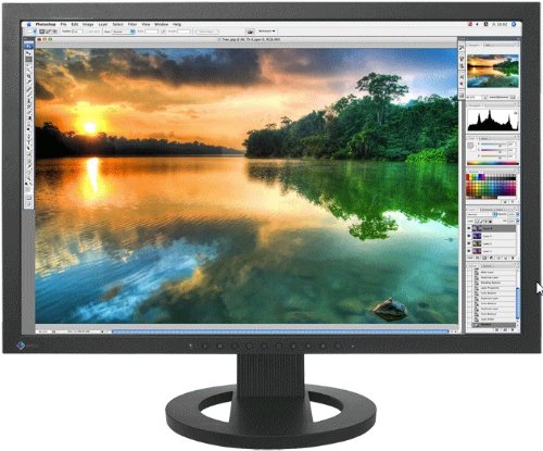 Eizo CG223W-BK 22.0" 1680 x 1050 Monitor