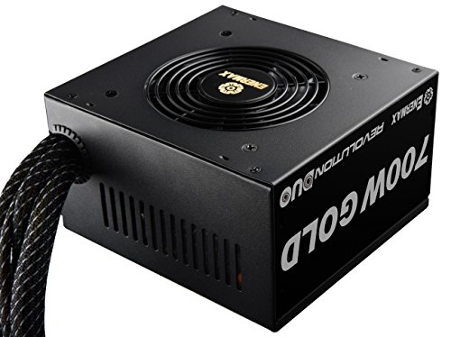 Enermax REVOLUTION DUO 700 W 80+ Gold Certified ATX Power Supply